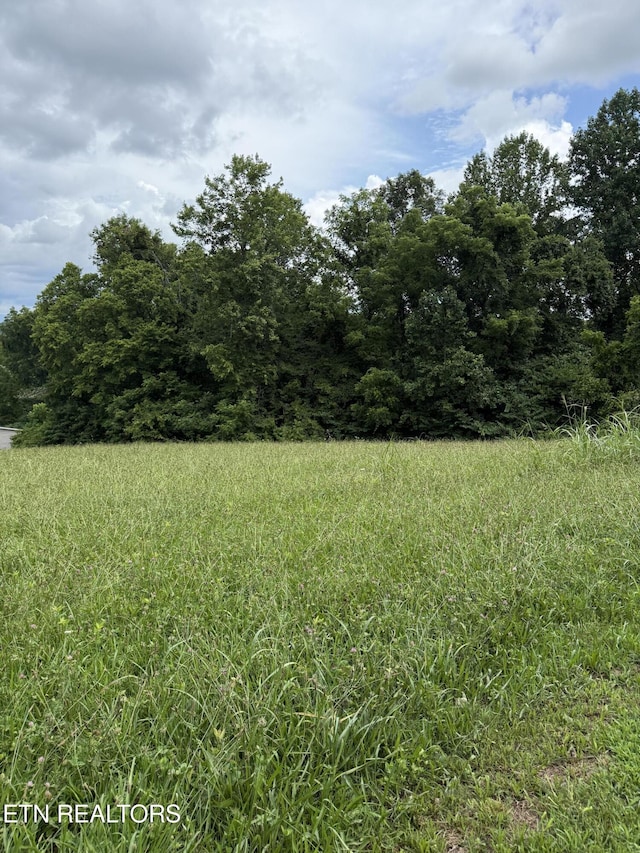 Cupp Ridge Rd, New Tazewell, TN 37825 - photo 5