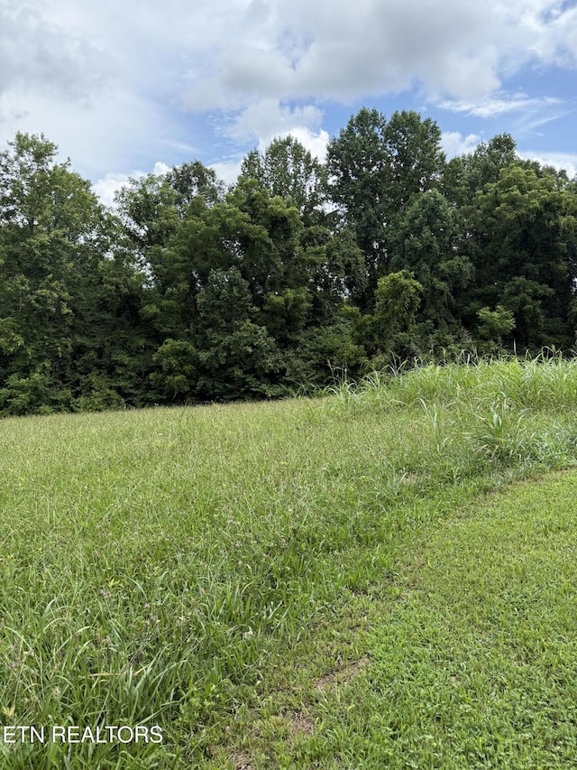 Cupp Ridge Rd, New Tazewell, TN 37825 - photo 6