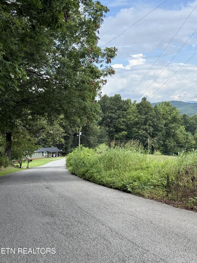 Cupp Ridge Rd, New Tazewell, TN 37825 - photo 9