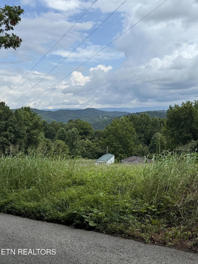 Cupp Ridge Rd, New Tazewell, TN 37825 - photo 10