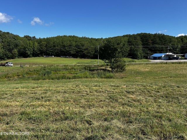 LOT7 Reliance Rd, Tellico Plains, TN 37385 - photo 5