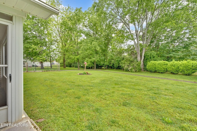 115 Dockery Dr, Maryville, TN 37804 - photo 25
