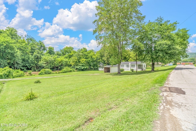 209 E Winchester St, Rockwood, TN 37854 - photo 43