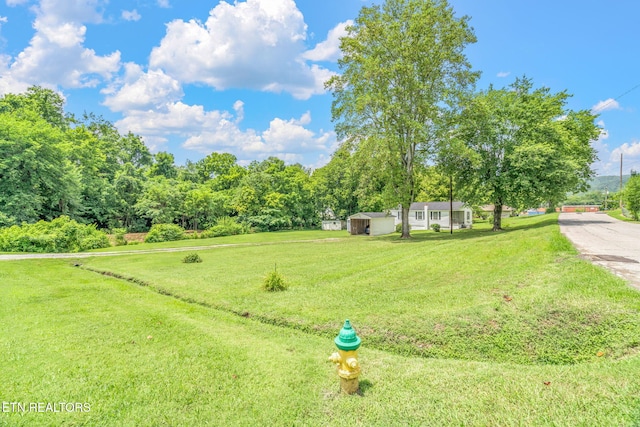 209 E Winchester St, Rockwood, TN 37854 - photo 6