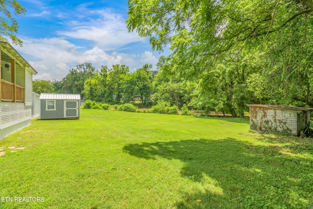 209 E Winchester St, Rockwood, TN 37854 - photo 31