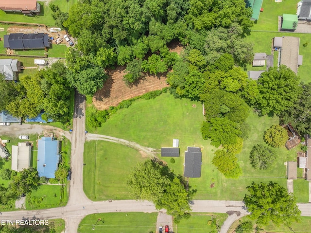 209 E Winchester St, Rockwood, TN 37854 - photo 8