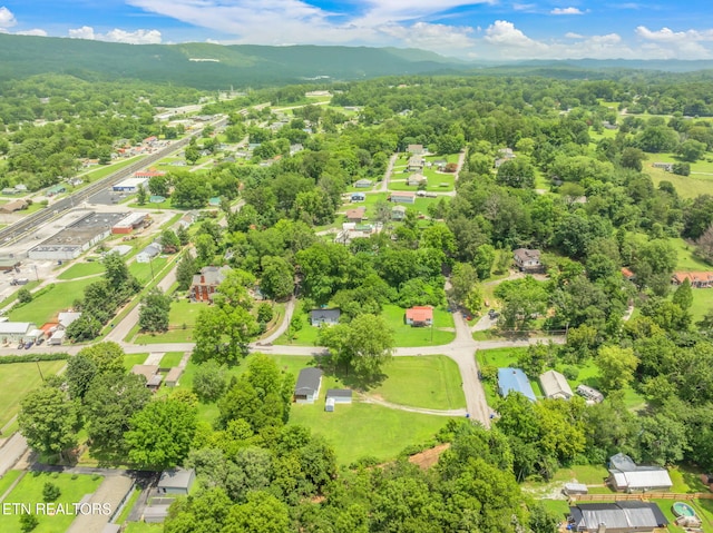 209 E Winchester St, Rockwood, TN 37854 - photo 37
