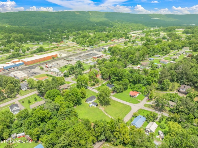209 E Winchester St, Rockwood, TN 37854 - photo 38