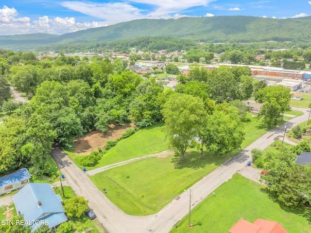 209 E Winchester St, Rockwood, TN 37854 - photo 40