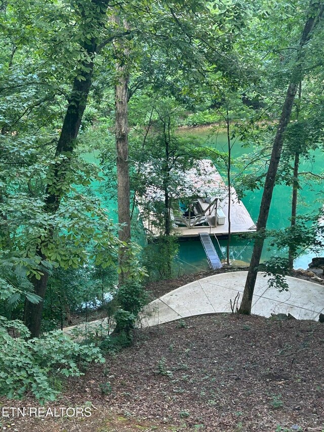 1031 Big Creek Rd, Lafollette, TN 37766 - photo 3