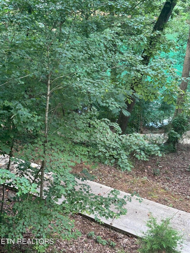 1031 Big Creek Rd, Lafollette, TN 37766 - photo 24
