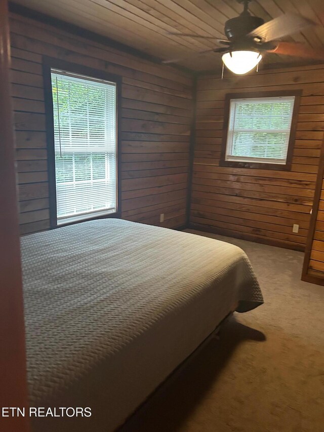 1031 Big Creek Rd, Lafollette, TN 37766 - photo 19