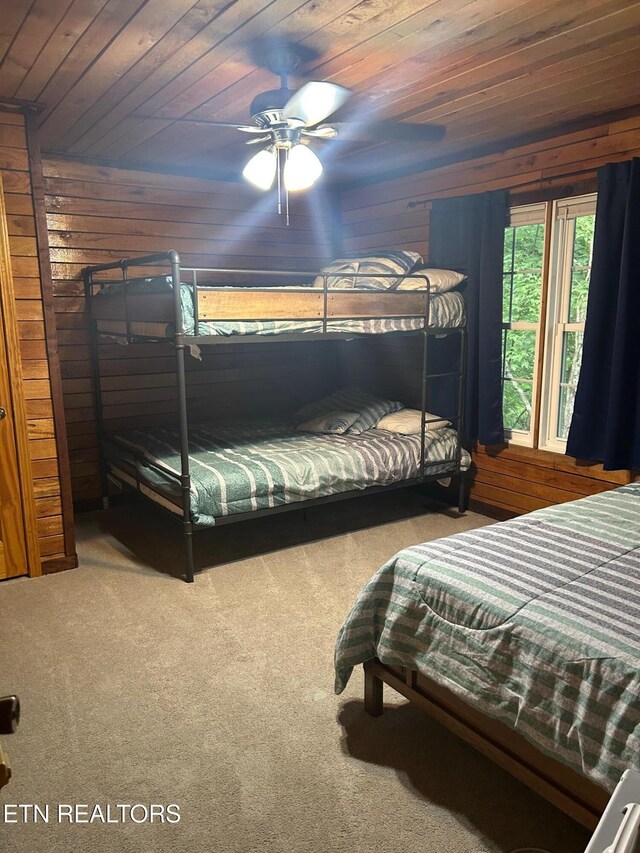 1031 Big Creek Rd, Lafollette, TN 37766 - photo 20