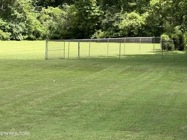 137 Dogtown Rd, Ten Mile, TN 37880 - photo 3