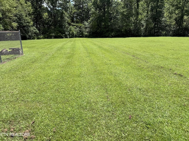 137 Dogtown Rd, Ten Mile, TN 37880 - photo 13