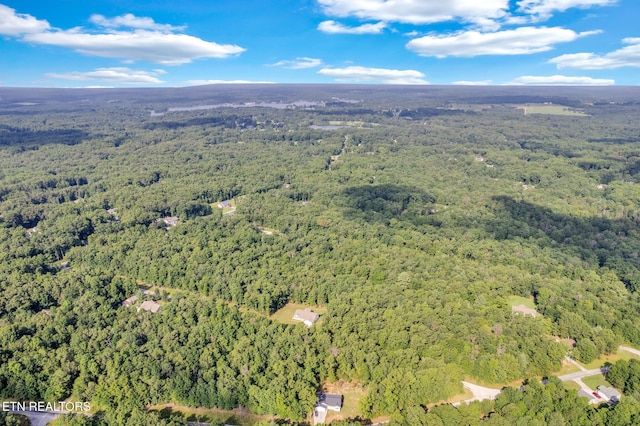 1084 Redwing Dr, Crossville, TN 38572 - photo 12