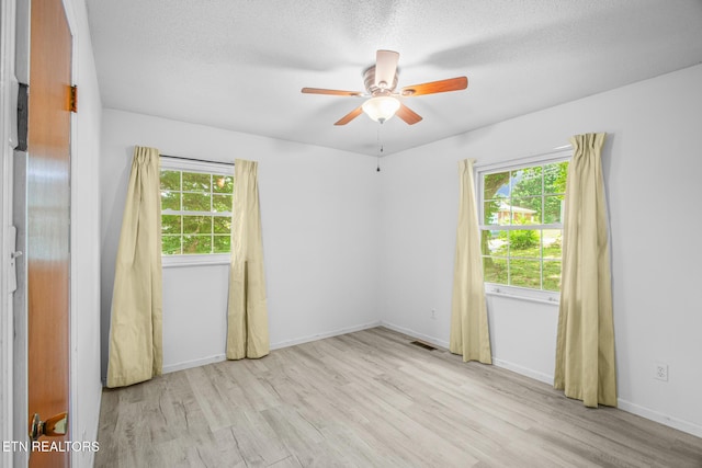 4219 Annona Dr, Knoxville, TN 37918 - photo 12