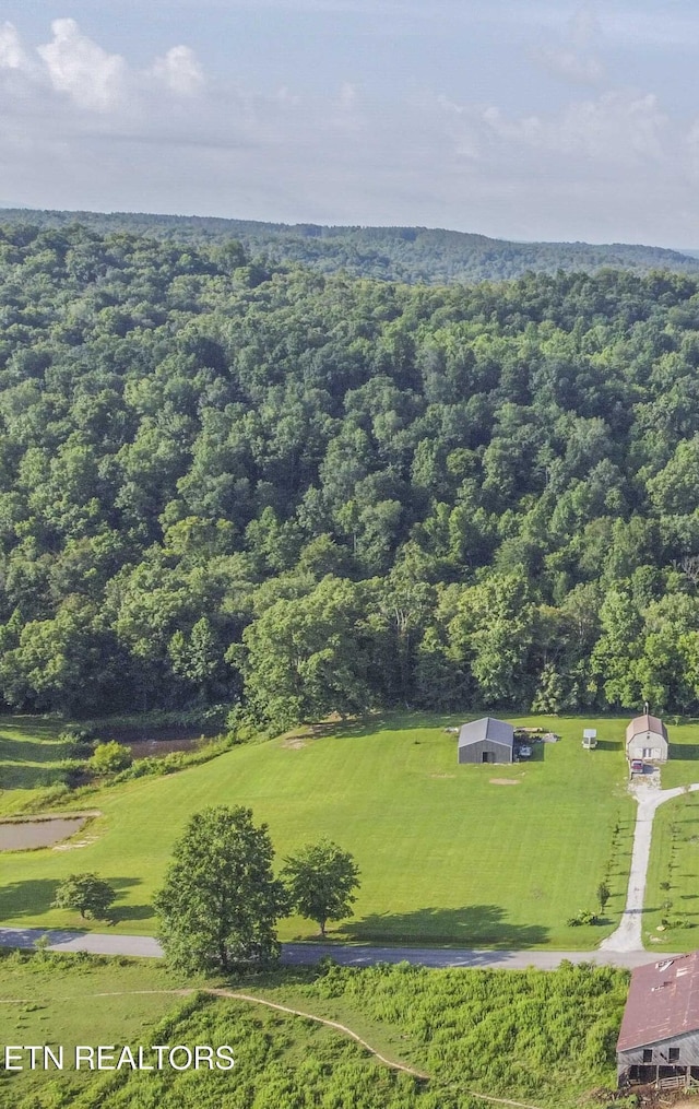 Nydeck Rd, Robbins, TN 37852 - photo 16