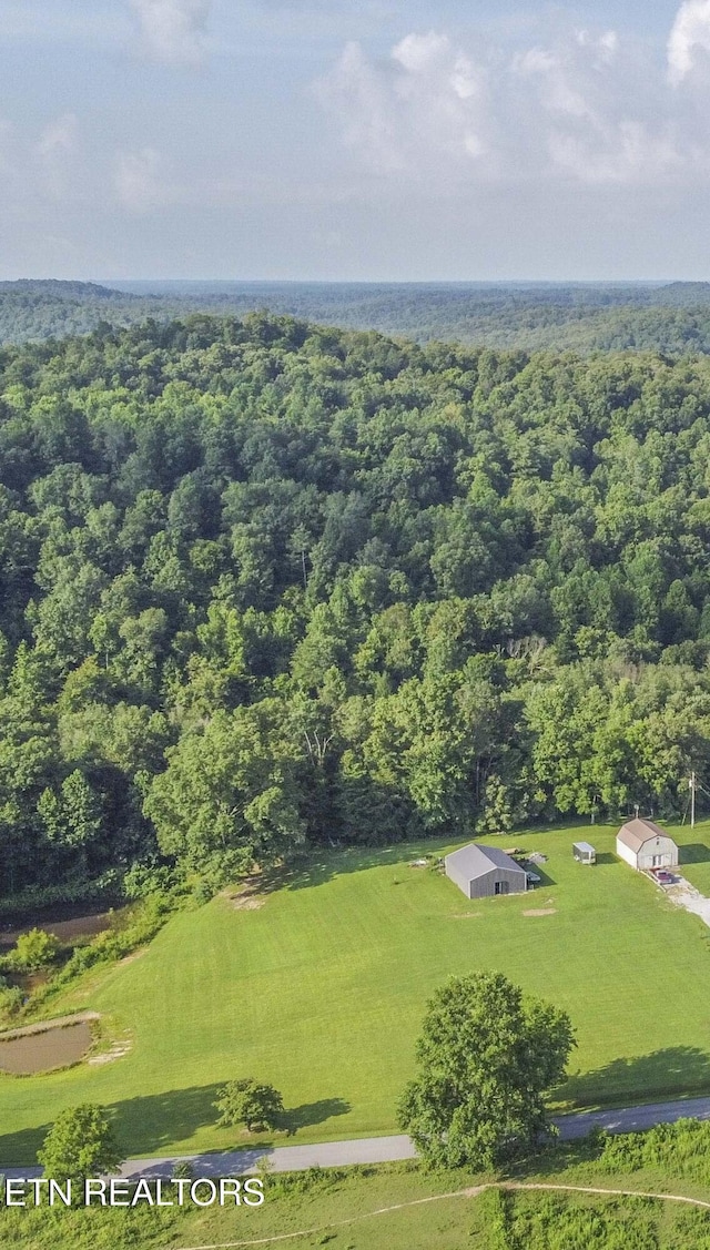 Nydeck Rd, Robbins, TN 37852 - photo 17
