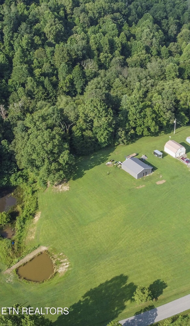 Nydeck Rd, Robbins, TN 37852 - photo 5