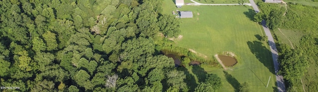 Nydeck Rd, Robbins, TN 37852 - photo 18