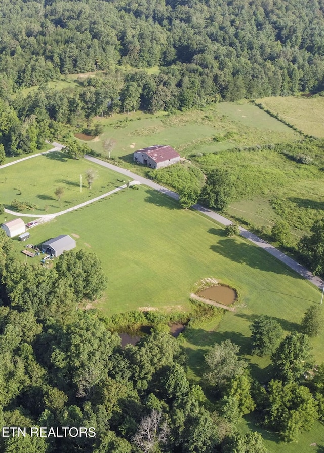 Nydeck Rd, Robbins, TN 37852 - photo 19