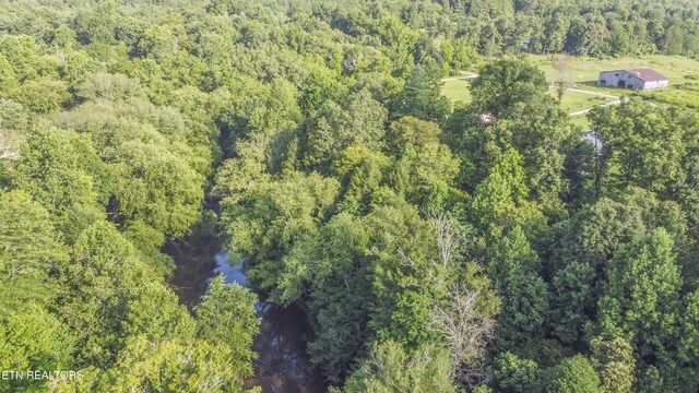 Nydeck Rd, Robbins, TN 37852 - photo 22