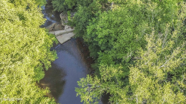 Nydeck Rd, Robbins, TN 37852 - photo 23
