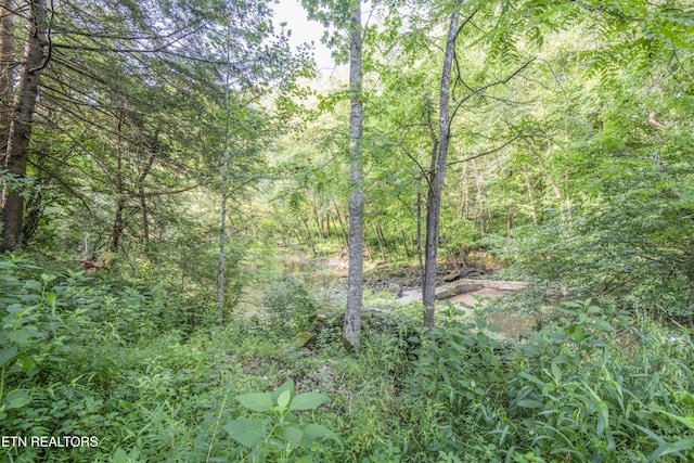 Nydeck Rd, Robbins, TN 37852 - photo 24