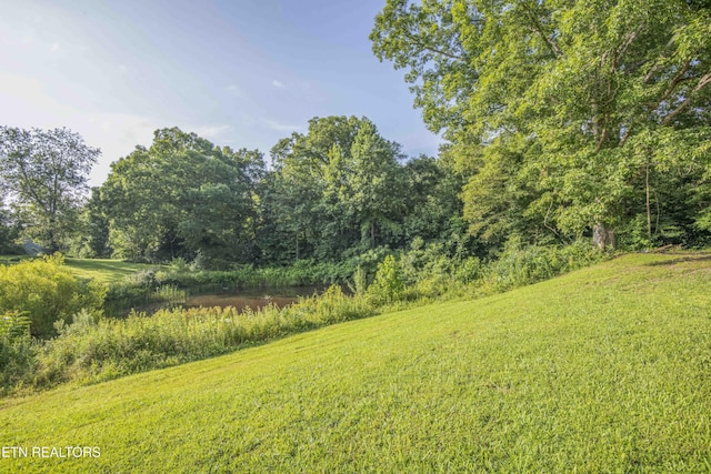 Nydeck Rd, Robbins, TN 37852 - photo 26
