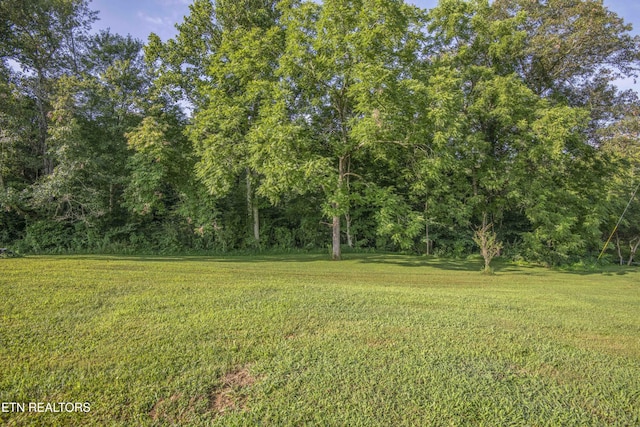 Nydeck Rd, Robbins, TN 37852 - photo 29