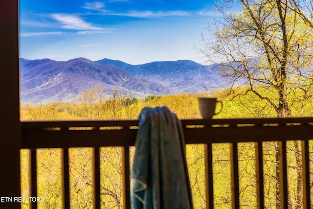 4361 Oakland Way Unit 2, Gatlinburg, TN 37738 - photo 4