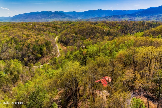 4361 Oakland Way Unit 2, Gatlinburg, TN 37738 - photo 6