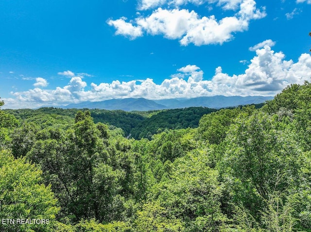 4361 Oakland Way Unit 2, Gatlinburg, TN 37738 - photo 8