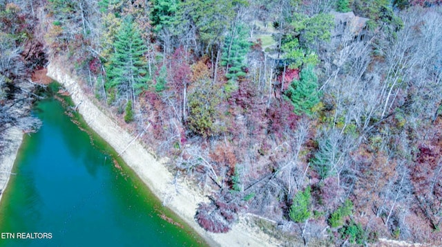 Ridgeview Cir, Sharps Chapel, TN 37866 - photo 12