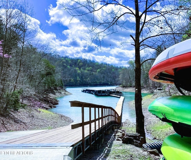 Ridgeview Cir, Sharps Chapel, TN 37866 - photo 20