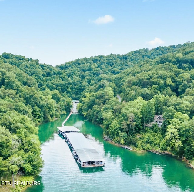 Ridgeview Cir, Sharps Chapel, TN 37866 - photo 23