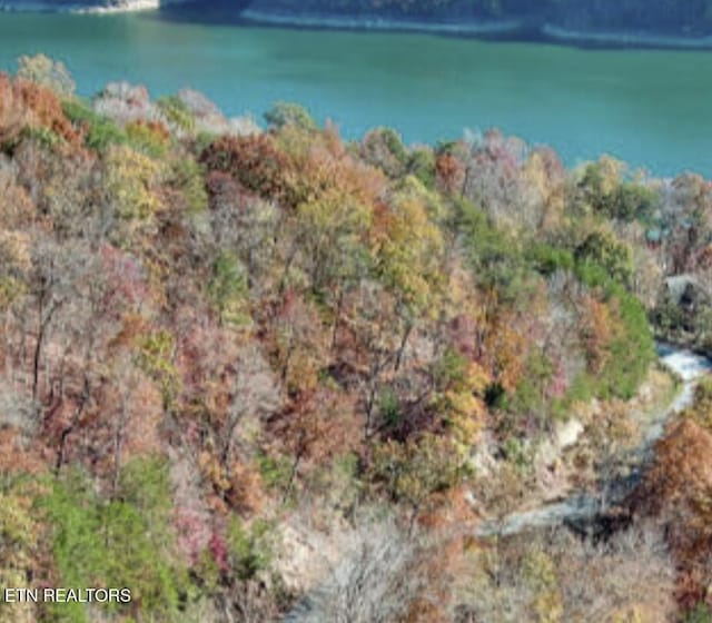 Ridgeview Cir, Sharps Chapel, TN 37866 - photo 10
