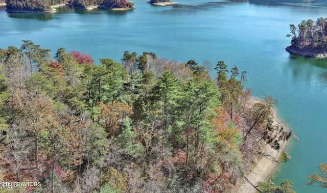 Ridgeview Cir, Sharps Chapel, TN 37866 - photo 11