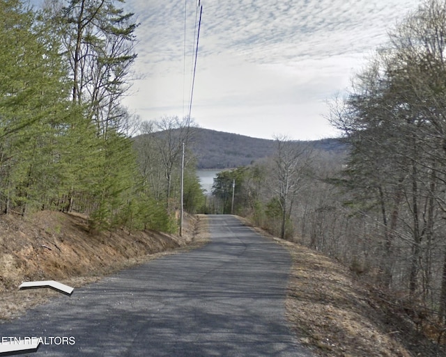 Ridgeview Cir, Sharps Chapel, TN 37866 - photo 8