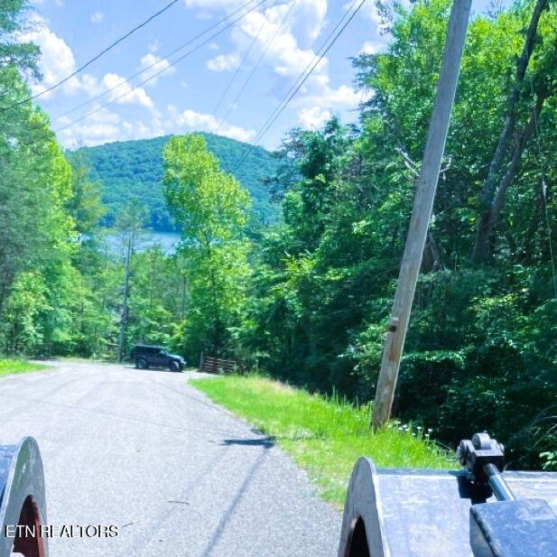 Ridgeview Cir, Sharps Chapel, TN 37866 - photo 6