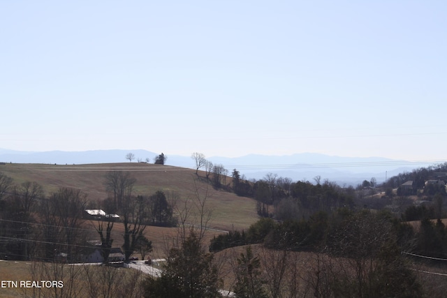 2947 Sims Rd, Kodak, TN 37764 - photo 6