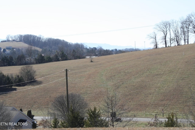 2947 Sims Rd, Kodak, TN 37764 - photo 29
