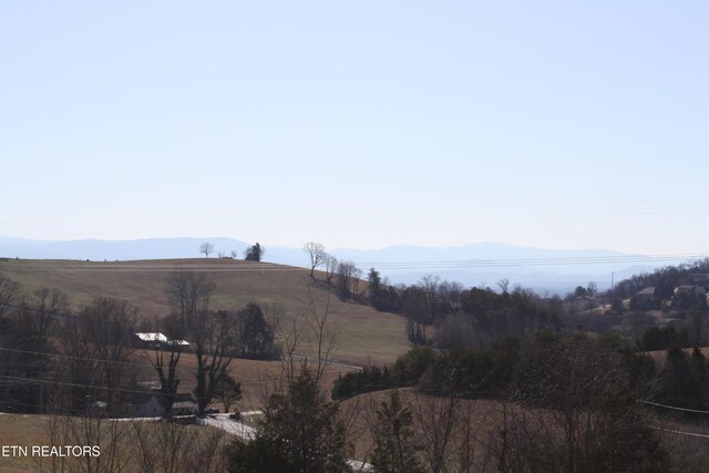 2947 Sims Rd, Kodak, TN 37764 - photo 30