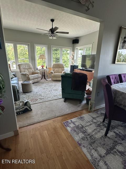 446 Gaut Rd, Dandridge, TN 37725 - photo 14