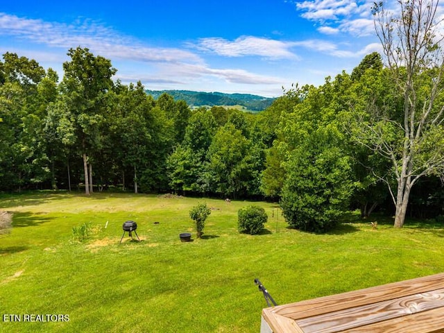 446 Gaut Rd, Dandridge, TN 37725 - photo 51