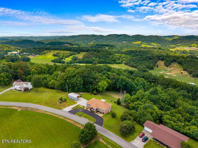 446 Gaut Rd, Dandridge, TN 37725 - photo 53