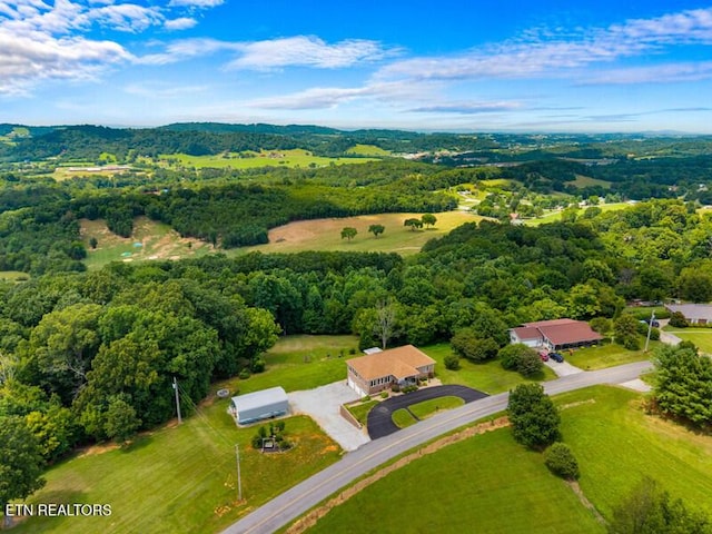 446 Gaut Rd, Dandridge, TN 37725 - photo 54