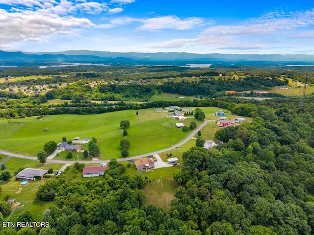 446 Gaut Rd, Dandridge, TN 37725 - photo 56