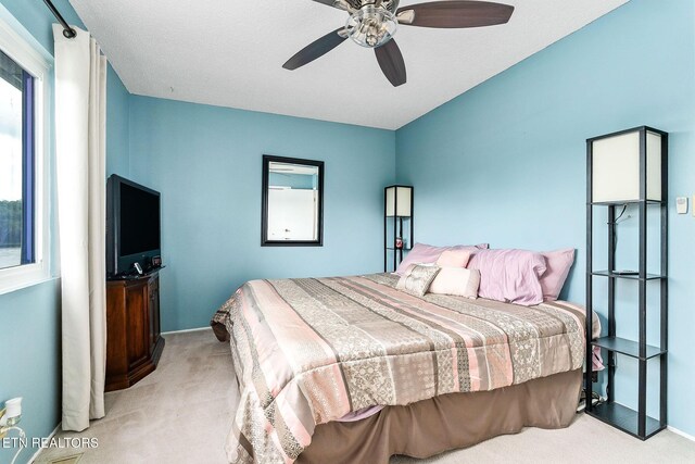 29 Lakeshore Ter Unit 8, Crossville, TN 38558 - photo 26